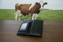 Load image into Gallery viewer, SEDONA® Long Wallet Cowhide Leather with zipper