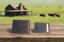 Load image into Gallery viewer, SEDONA® RFID Buffalo Leather Bifold Wallet with pull id/card case
